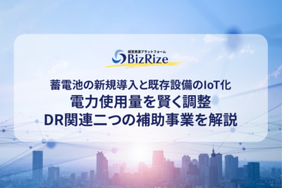 蓄電池の新規導入と既存設備のIoT化 電力使用量を賢く調整 DR関連二つの補助事業を解説